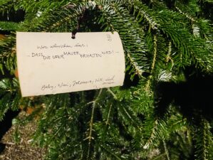 Schondorfer Weihnachtswünsche 2025: Wir wünschen uns, dass die Ufermauer erhalten bleibt